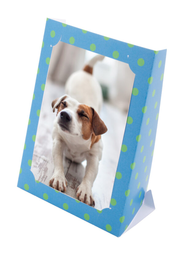 cornice foto personalizzabile - immagine 7