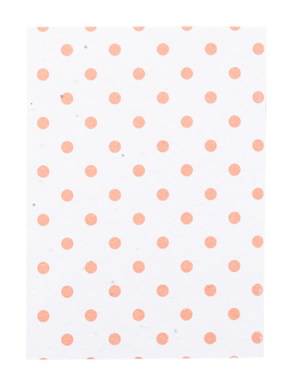 quaderno di carta con semi personalizzato - immagine 5
