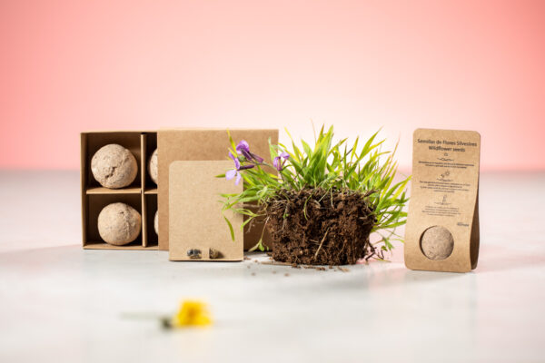 sfera con semi - immagine 7