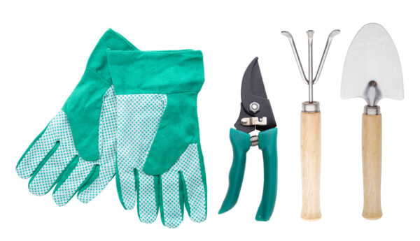 set giardino - immagine 3